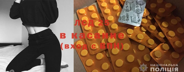 spice Богородск