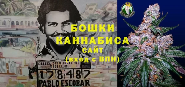 стаф Бронницы