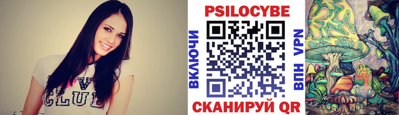 где купить наркоту  Красный Кут  Псилоцибиновые грибы Magic Shrooms 