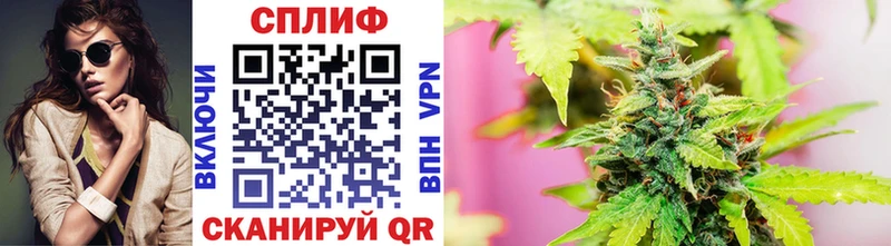 omg Красный Кут Канабис OG Kush наркота